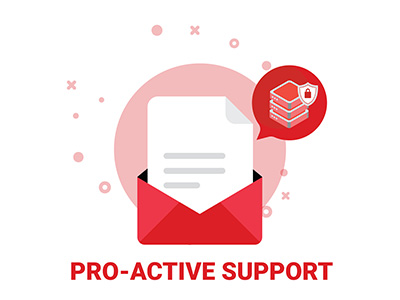 Pro-Active Monthly Support